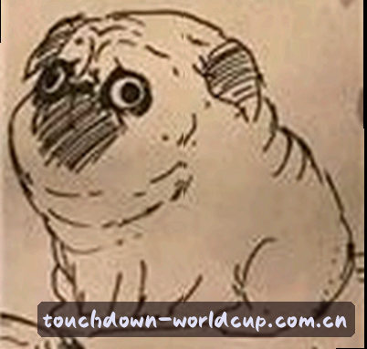 周涛